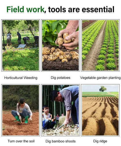 Your Ultimate Weeding Tool